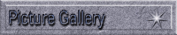 Picture Gallery